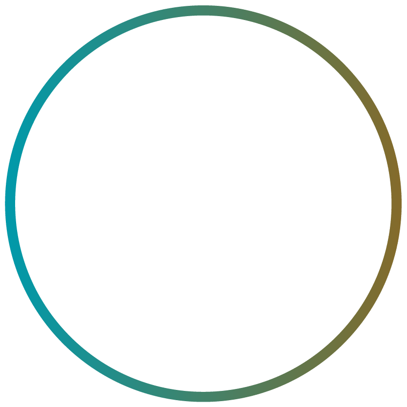 Security icon