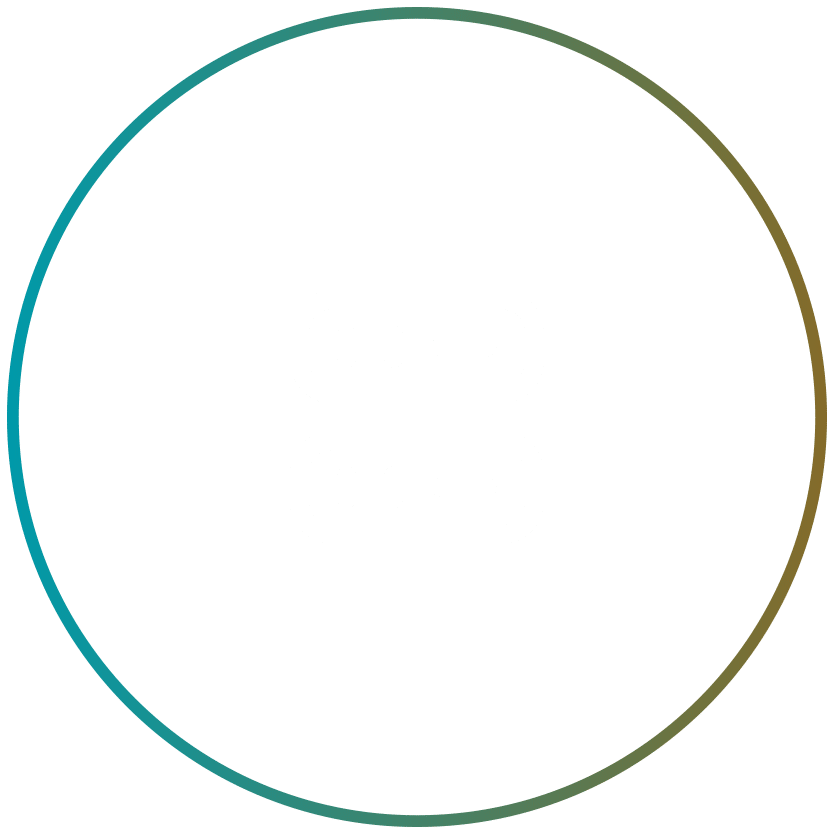 Icon of colocation servers