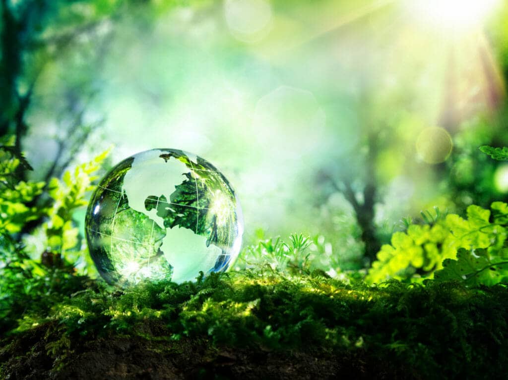 An etched glass globe on the mossy ground with a ray of sunshine behind it