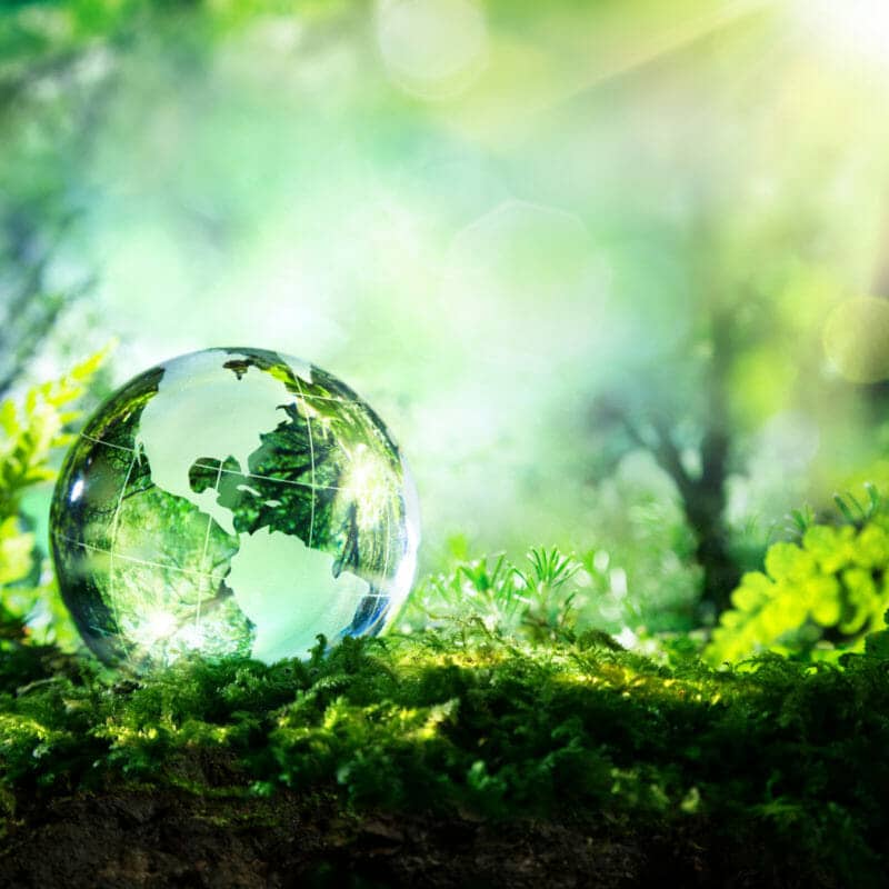 An etched glass globe on the mossy ground with a ray of sunshine behind it