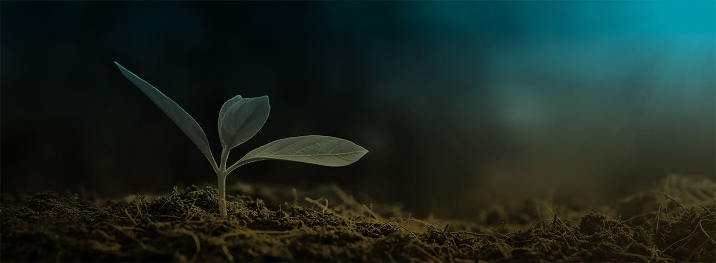 Achieving Genuine Sustainability in Data Center Operations Without ‘Greenwashing’